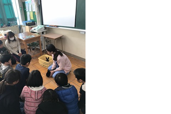 東区・明倫小学校へうさぎ2頭を譲渡