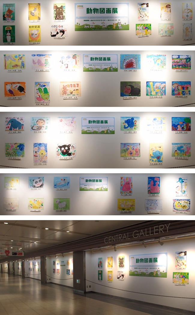 動物図画展示の様子2
