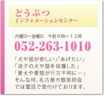 どうぶつインフォメーションセンター