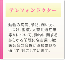 テレフォンドクター