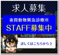 求人情報