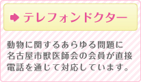 テレフォンドクター