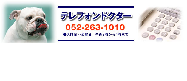 テレフォンドクター