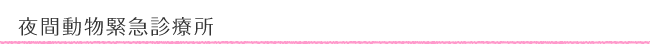 夜間動物緊急診療所