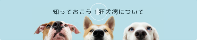 知っておこう!狂犬病について