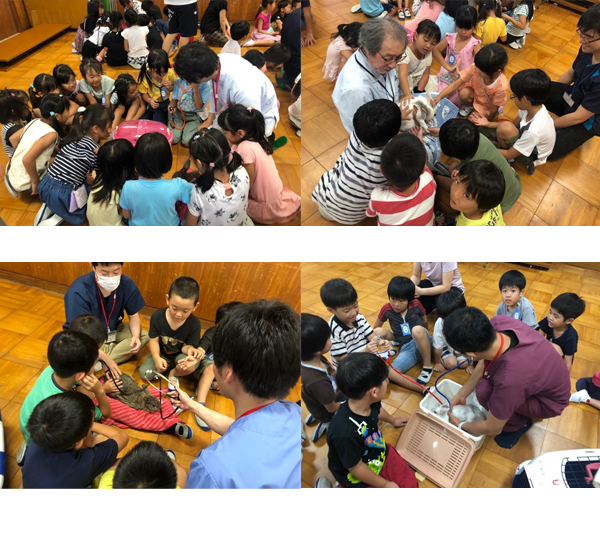 荒子小学校1年生「動物ふれあい教室」開催