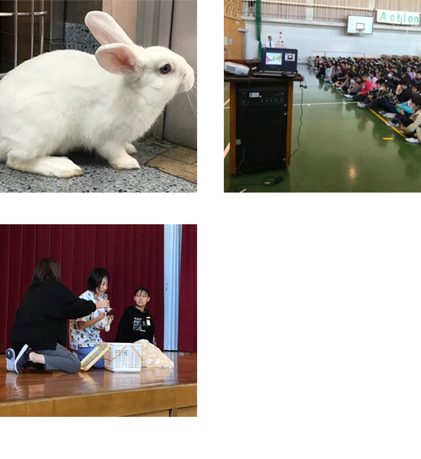 西味鋺小学校「うさぎの譲渡」